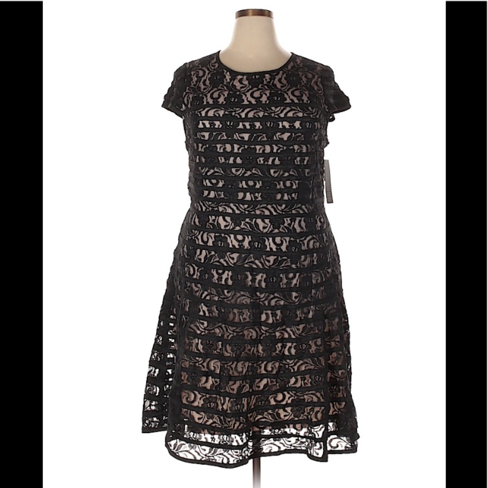 Alfani Lace Little Black Dress